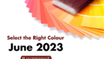 colour palette graphic