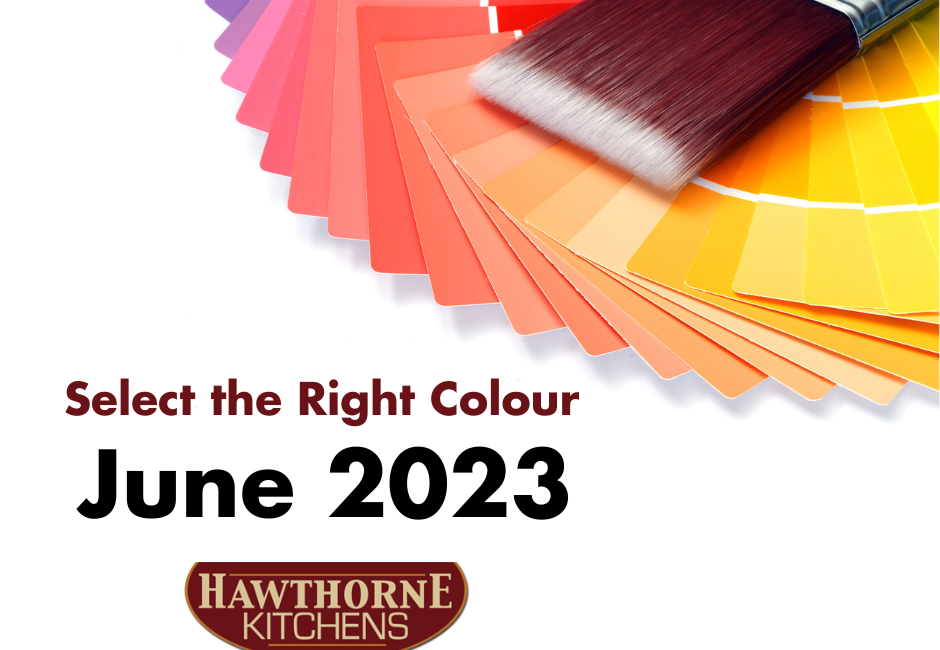 colour palette graphic
